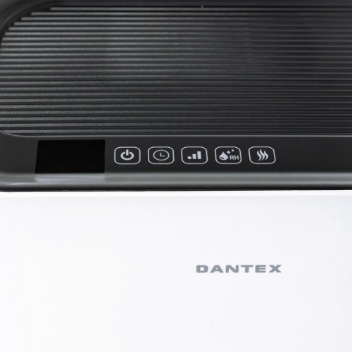 D-H46AWCF 64919144 DANTEX