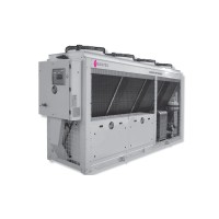 DANTEX DN-1104BUSTOF