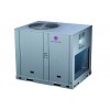 DR-B100HPD/SCF  DANTEX