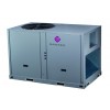 DR-B125HPD/SCF  DANTEX
